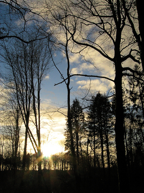January evening January evening